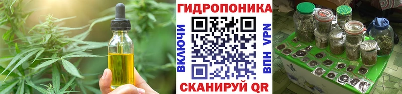 наркота  Макарьев  blacksprut зеркало  Cannafood конопля 
