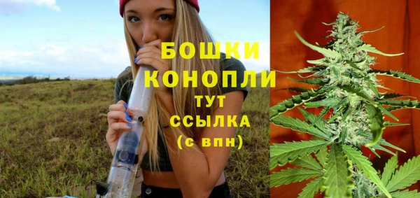 каннабис Аркадак